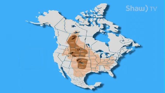 Elk Island Bison Roundup смотреть онлайн
