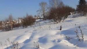 Песковка. В конце улицы Красноармейской...