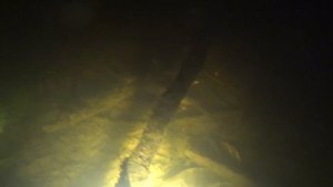 Ночная подводная охота в Десногорске. Смоленская область.