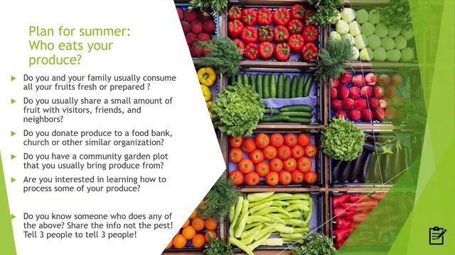 Your Summer Garden with the Oriental Fruit Fly 5 2024 смотреть онлайн