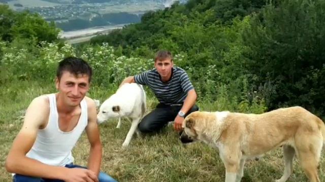 Urva смотреть онлайн