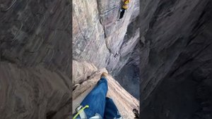 Путешествия по Миру; медуза- яичница, касатки, альпако в такси,...😲😍😮
