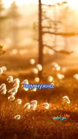 Цитаты,Которые Все Начнут Повторять!