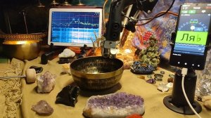 17.8СМ 34Н ЛЯ 205