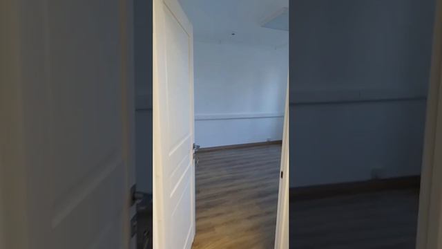 Video_2025-04