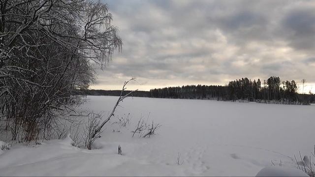 ЗИМУШКА-ЗИМА В ЗАВЕТНОМ! ПОВСТРЕЧАЛИ ЛОСЯ, ПОЙМАЛИ ПОДЛЕЩИКА! смотреть онлайн