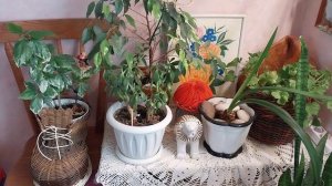 Всех с Чистым четвергом!🤗