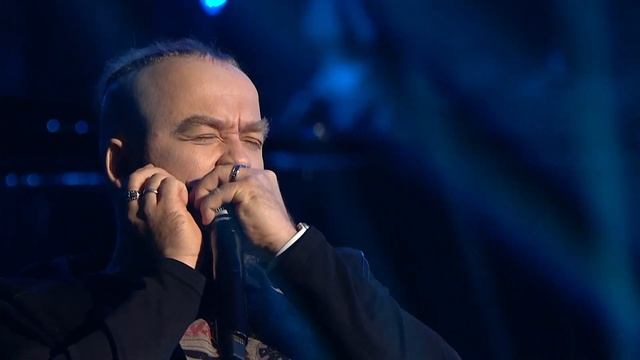 Руслан Сайфутдинов - Бөдрә таллар (Кудрявые ивы)