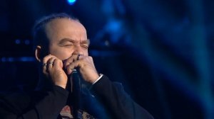 Руслан Сайфутдинов - Бөдрә таллар (Кудрявые ивы)