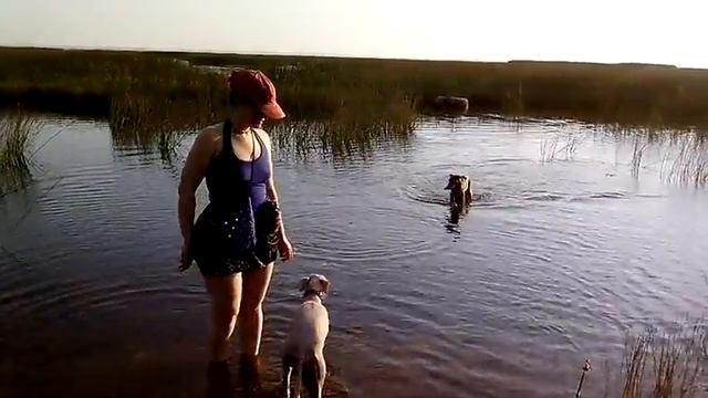 Яхоо смотреть онлайн