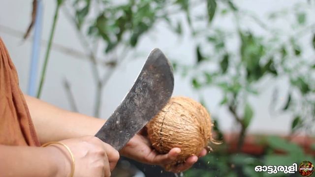 ചക്ക പാല്യപ്പം  | Jackfruit Paalyappam | First time in Youtube | chakka paaliyappam смотреть онлайн
