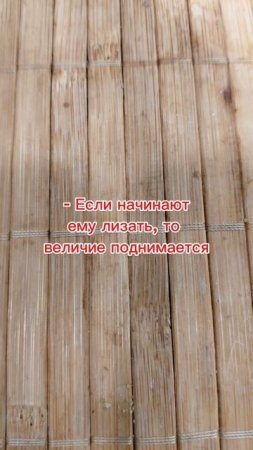 Чего хочет Трамп