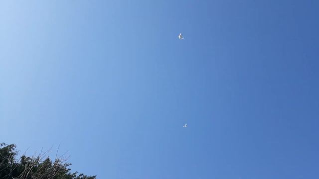 Салам алейкум дослар и друзья.12.04.2024.🇹🇲🕊🇹🇷🕊🇹🇲🕊🇹🇷🕊.. смотреть онлайн