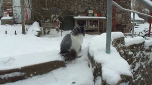 "У природы нет плохой погоды".