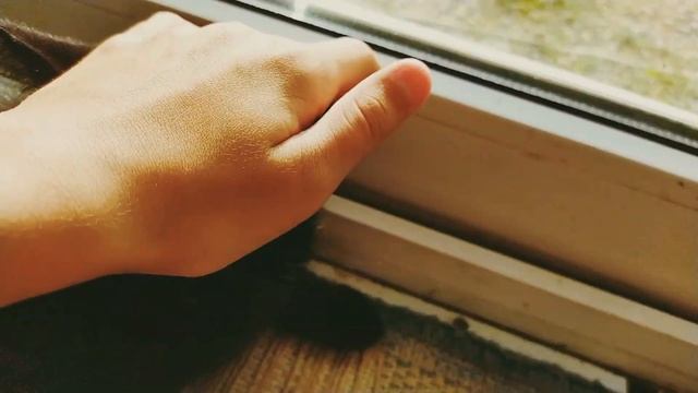 мой кот не знаю какая часть смотреть онлайн