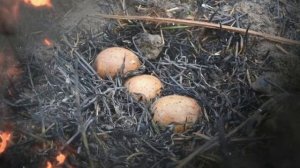 Про лесные пожары