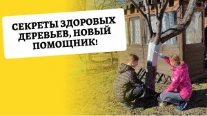 Даченька #72 Секреты здоровых деревьев, новый помощник!. #дача