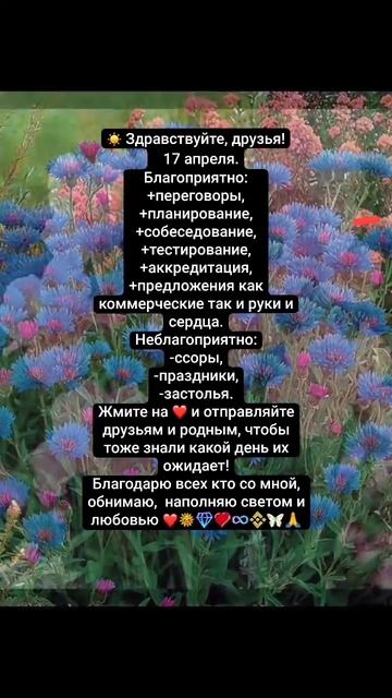 Прогноз на день