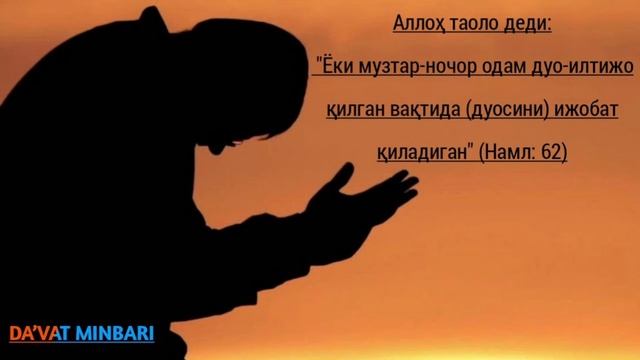 30/ Сулаймон алайҳиссалам ва чумоли ҳодисасидан олинадиган ибратлар | Шайх Абдуллоҳ Зуфар смотреть онлайн
