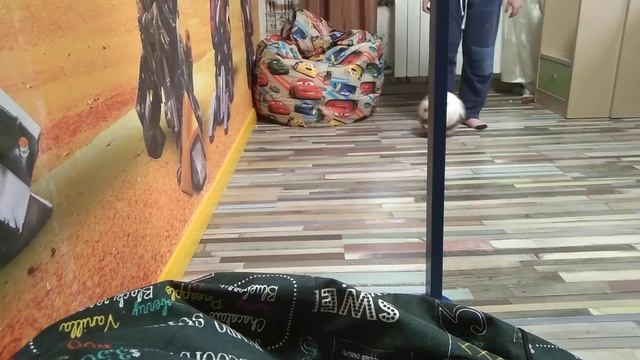 Топ 5 финтов смотреть онлайн