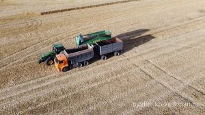 Уборка пшеницы 2020 (Белгородская обл.)