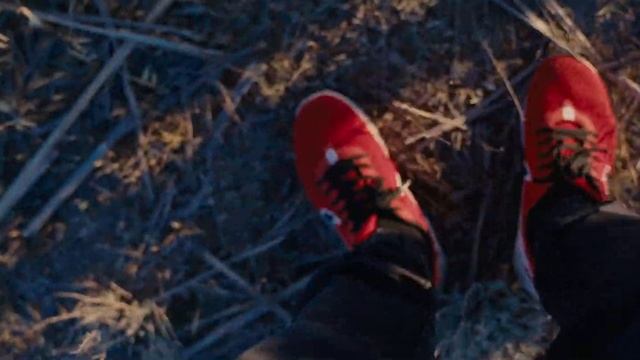 ŞİRVAN MİLLİ PARKI. смотреть онлайн