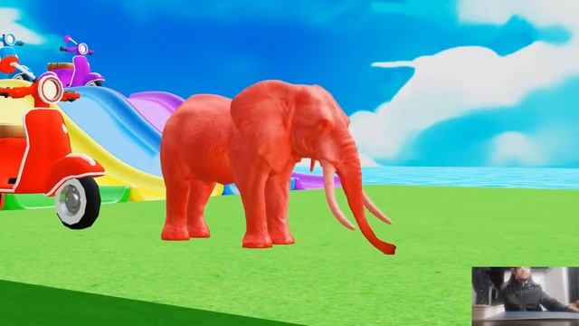 Long Slide Game With Elephant Gorilla Buffalo Hippopotamus Tiger - 3d Animal Game - Funny 3d Animal смотреть онлайн