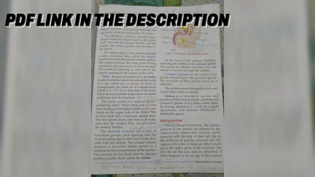 Selina concise biology class 8 icse chapter 3 || reproduction in humans