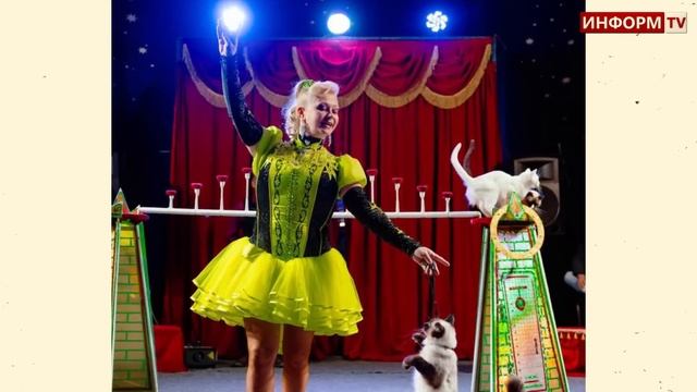 ТОЛЬКО ЧТО! Уже третья трагедия за год... В начале дочь Запашного, теперь смерть дрессировщицы смотреть онлайн