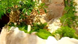 Red Sea Hotels (Egypt, Hurghada) - Makadi SPA 5* - (Египет, Хургада)