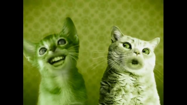 Preview 2 Numa Cat effects [Sponsored by Ecuavisa Csupo effects] смотреть онлайн