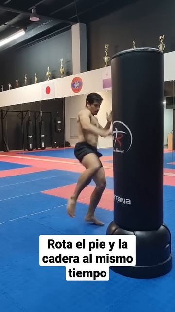 Técnica Low Kick смотреть онлайн