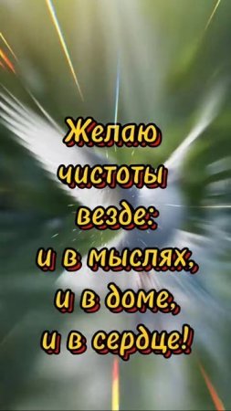 -праздник-поздравляю-17 апреля