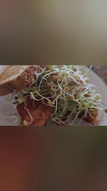 Bacon Lentil Sprouts & Mayo Snadwich смотреть онлайн