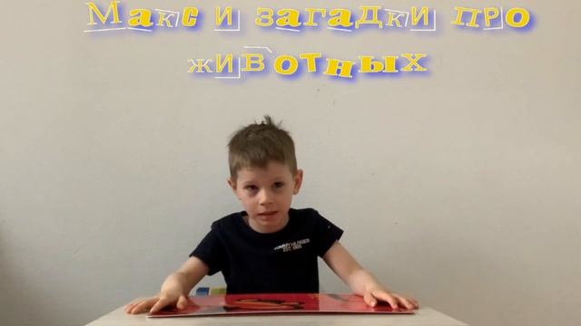 Макс и загадки про животных выпуск3 В конце каждой загадки веселые видео под детские песни)