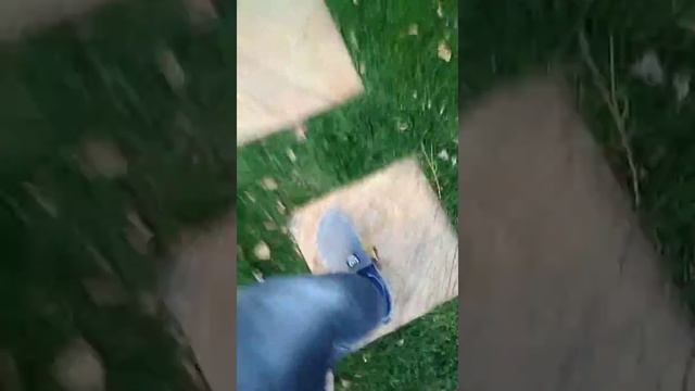 Турецкий парк в Южном. смотреть онлайн