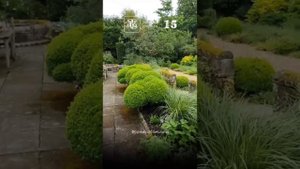 В саду английского ландшафтного дизайнера Розмари Александер