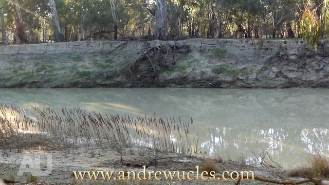How To Catch A Hawk смотреть онлайн