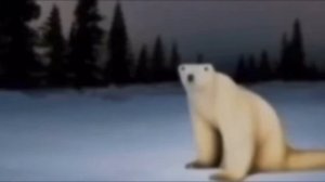 белый медведь 2026…