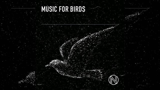 Pelican Island смотреть онлайн