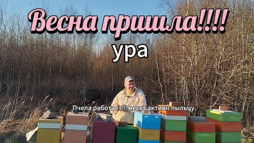 Весна пришла расширяю семьи!