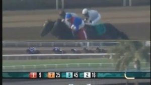 Lily - 2016 Santa Anita Maiden Race - Eighth Place Finish