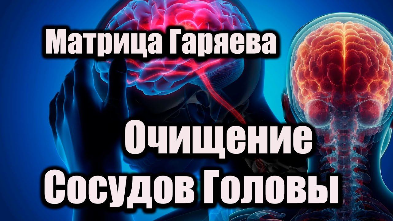 Матрица Гаряева – Очищение сосудов головы Квантовый метод