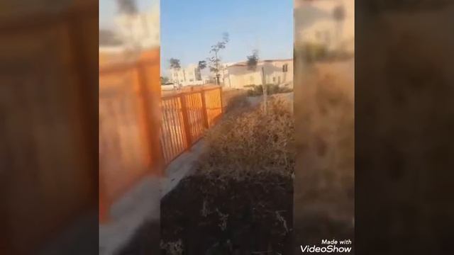 🎈🍂🍂Shakhbout city park🍂🍂🎈🌸 ❤ 🌈🌞We love the sun🌞🌈👈🌻 My little garden🌴🌷🥀🌹🍂💭 смотреть онлайн