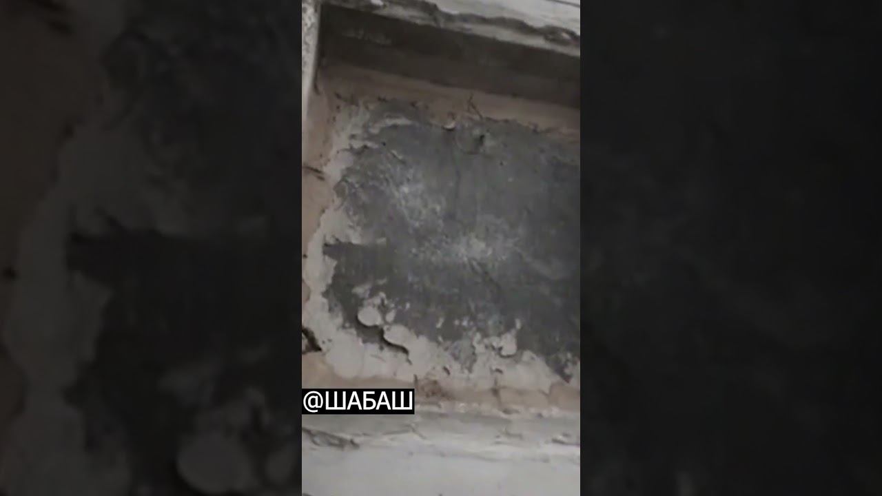 Scary Video #12 смотреть онлайн