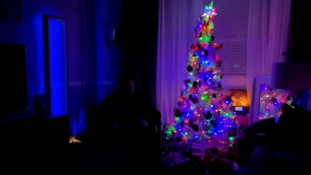 'Tis the season - Quint Art D Major смотреть онлайн