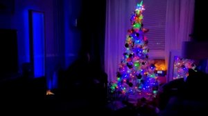 'Tis the season - Quint Art D Major