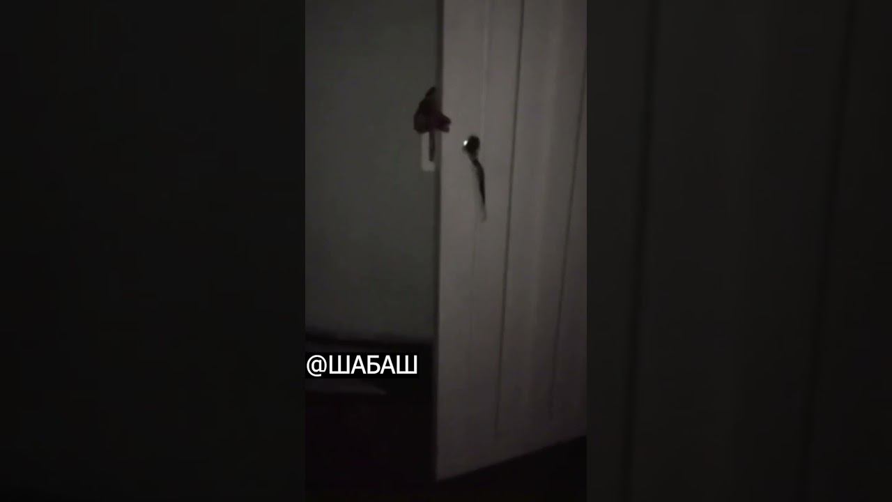 Scary Video #3 смотреть онлайн