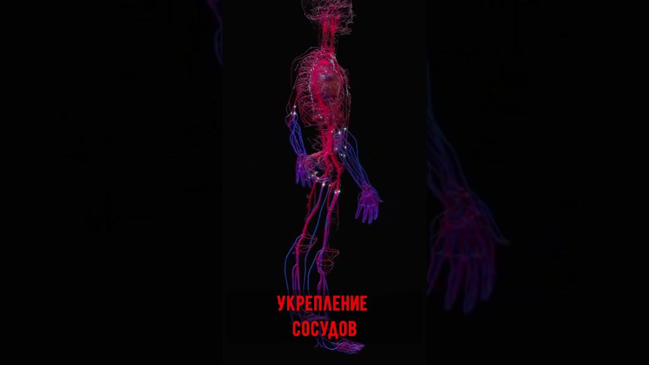Укрепление сосудов матрица Гаряева,открытие в медицине 2025 года