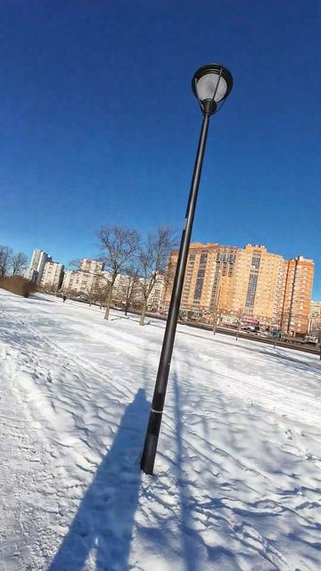 Теперь в парке чистые дорожки
